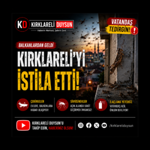 🚨 KIRKLARELİ’NDE ÇEKİRGE VE SİVRİSİNEK İSTİLASI! VATANDAŞ TEPKİLİ
